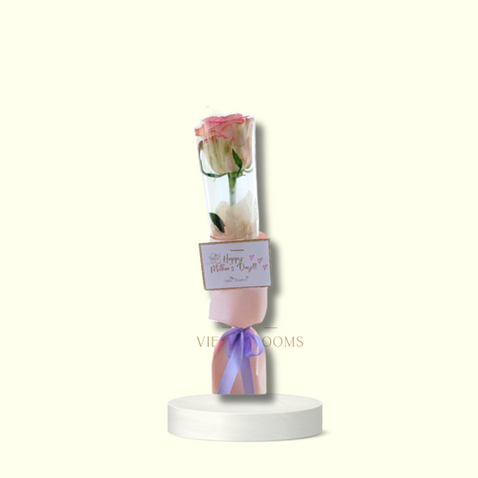 (Single Stem)- Min