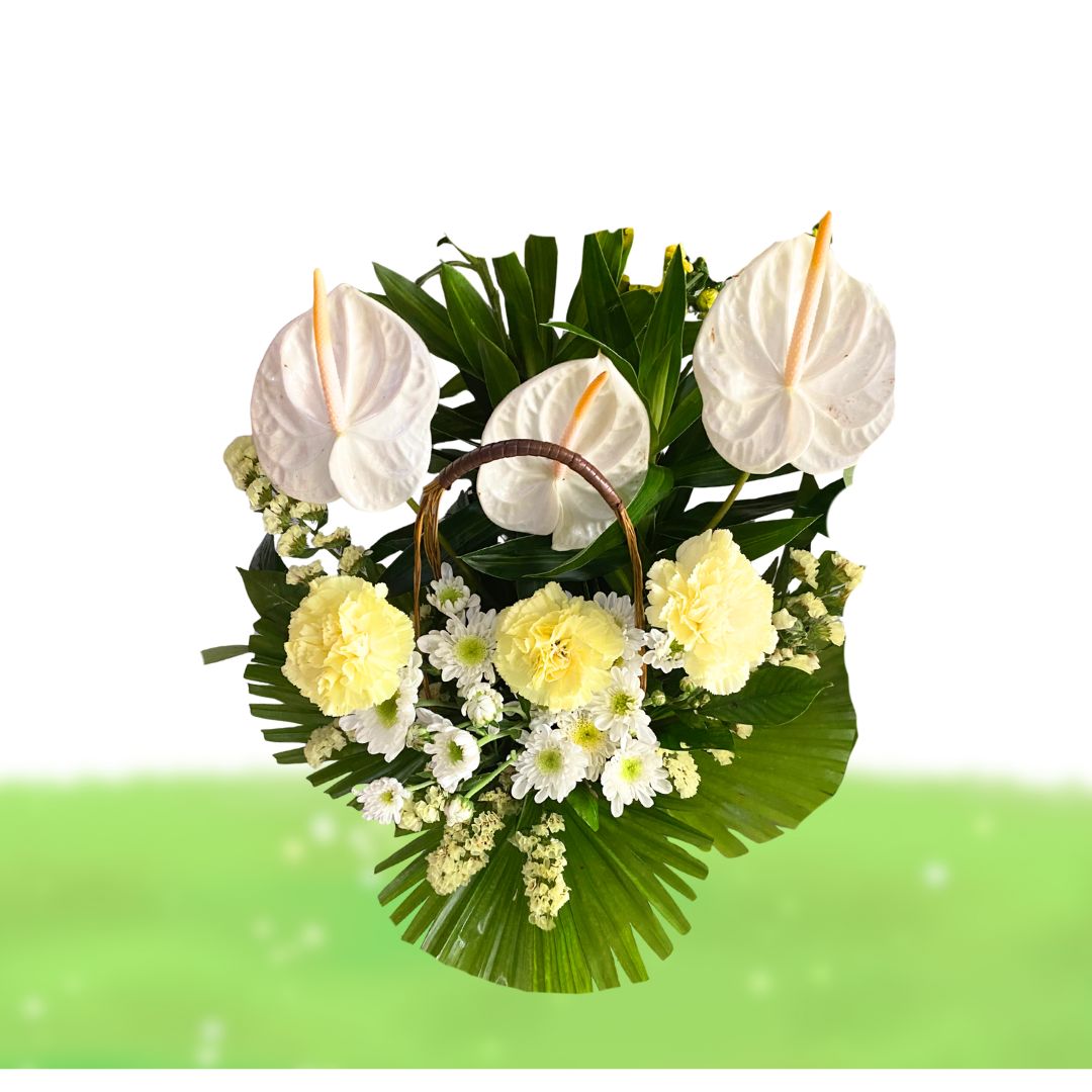 Serenity Basket (VBS 09)