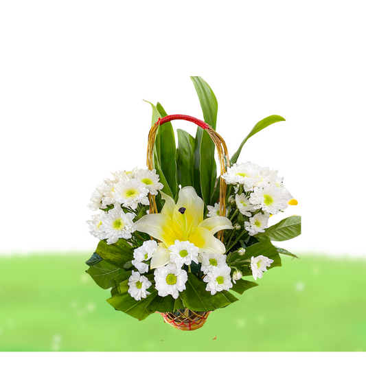 Radiant Remembrance (VBS 05)