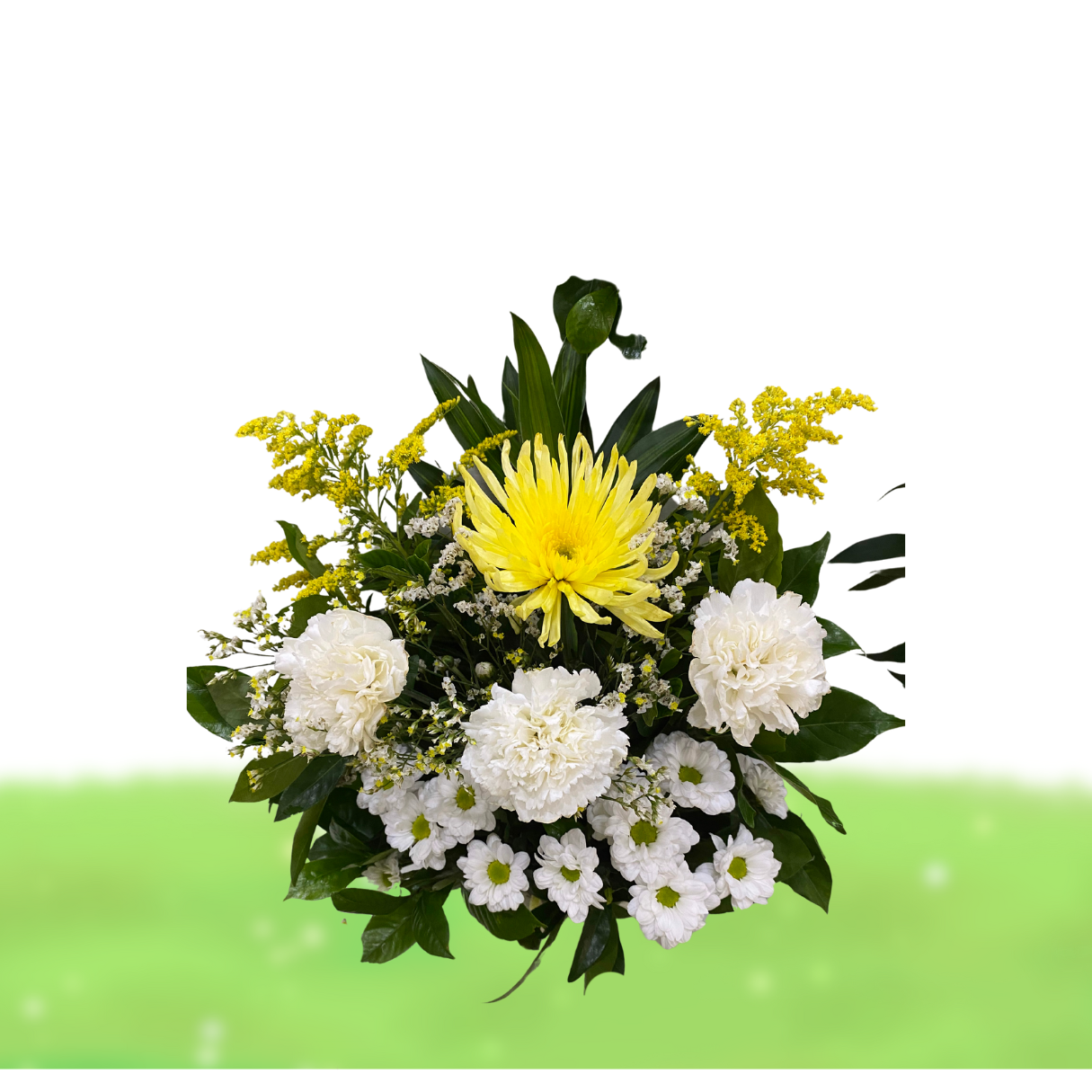 Soulful Blooms (VBS 07)