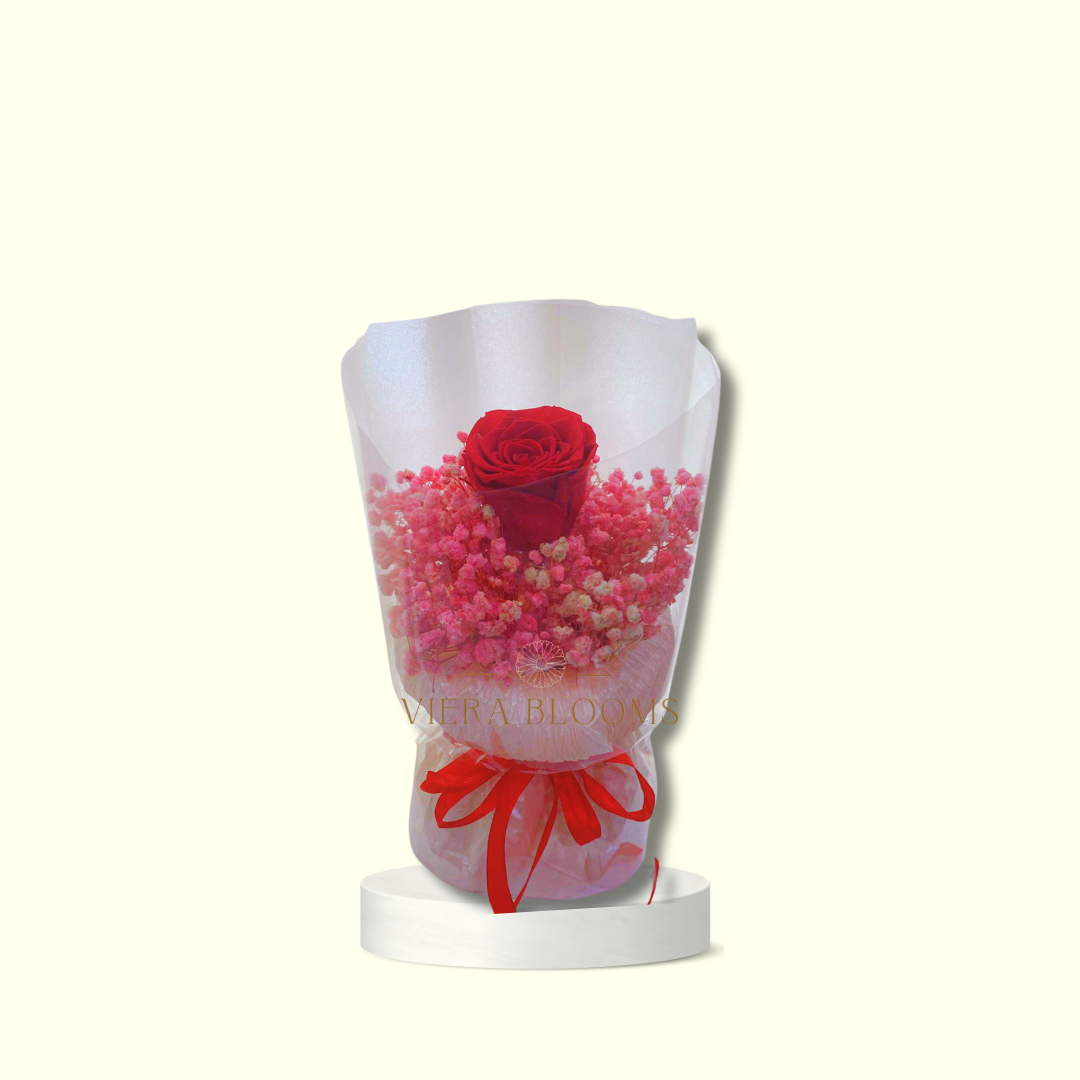 (Dried Flowers) Kay - Red Pink