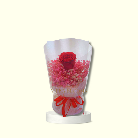(Dried Flowers) Kay - Red Pink
